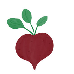 radish
