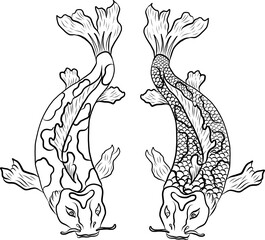 koi carp vector isolate for tattoo.Japanese carp drawing.Hand drawn line art of fish (Koi carp). Vector isolated. Idea for tattoo and coloring books.