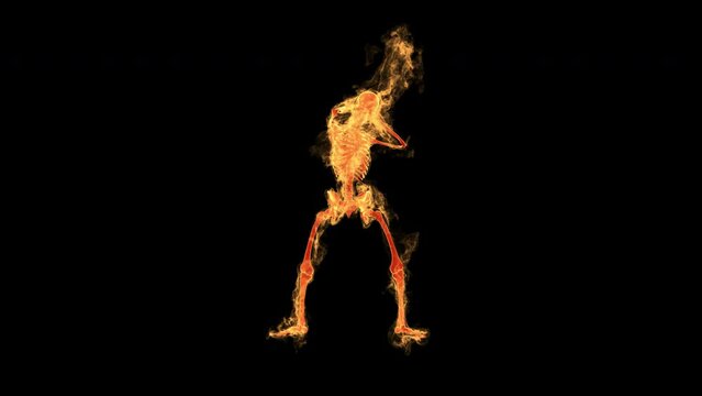 Burning skeleton agony - 3d render with alpha channel.