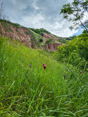 Rapa Rosie or red ravine Canyon near Sebes, Transylvania, Romania in Summer