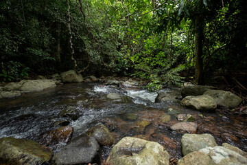 Forest, Waterfall, Lake, Landscape - Scenery, Scenics - Nature