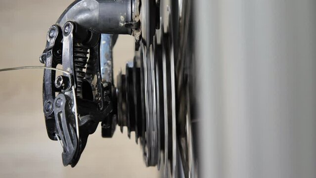 Bicycle transmission system. Rotating chain. Rear wheel bicycle transmission system. Chain Cassette Spokes. Gearshift