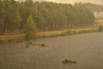 berges de Loire ass&eacute;ch&eacute;e sous la pluie d' aout