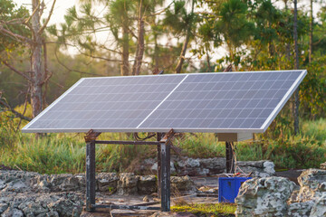 photovoltaic using renewable solar energy in forest