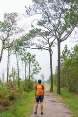 traveler man hiking enjoying in the mountains with backpack at Phu Kradueng national park, Loei Thailand, beautiful landscape