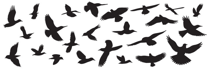 Obraz na płótnie Canvas Big set of birds silhouettes. Hand drawn birds silhouette. Vector illustration.