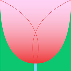 Tulip flower in square gradient illustration