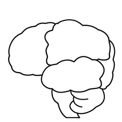 横から見た大脳のシンプルなイラスト