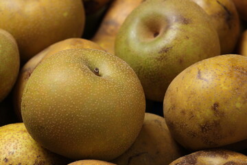 日本梨、アジア梨