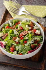 Michigan salad with leaf lettuce,  dried cherries, pecan, blue cheese, and a vinaigrette closeup on the plate on the table. Vertical