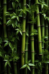 Fototapeta na wymiar Green bamboo texture. Oriental grass fence seamless pattern. Wallpaper, background