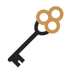 Key flat illustration