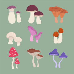 Mushrooms as autumn or forest elements vector illustrations set. Collection of cartoon drawings of edible and poisonous fungi on green background. Plants, nature, seasons, diet concept