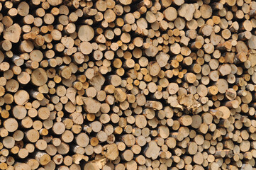 heap of wooden logs background