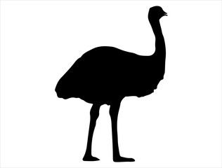 Emu silhouette vector art white background