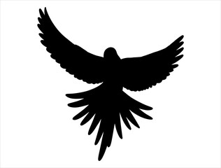 Parrot silhouette vector art