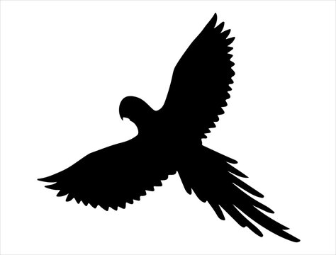 recommend clip art: Parrot silhouette vector art