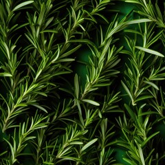 Fototapeta premium Rosemary as seamless tiles