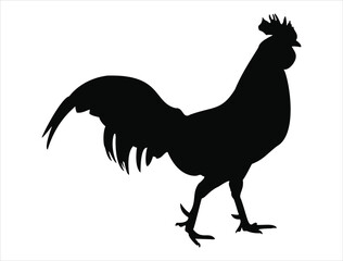 Rooster silhouette vector art