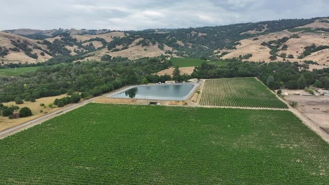 Aerial California Boonville vineyard farms pond. Mendocino county, California. Grape, wine farm regions along Navarro River. Mountains, hills, valley and farming. Redwood and pine forests.