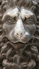 Fototapeta na wymiar Venice, Italy - Ancient building decoration element of a scary lion head in Venice historical and touristic downtown, details. Concept of conservation of historical heritage