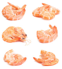 Set of shrimp