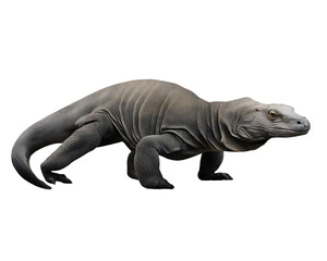 Obraz premium Komodo isolated on transparent background