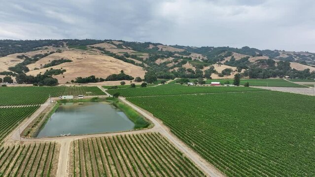  Aerial California vineyard grapes valley pond farms pull 2. Mendocino county, California. Grape, wine farm regions along Navarro River. Mountains, hills, valley and farming. Redwood and pine forests.