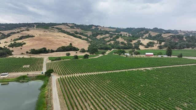 Aerial California vineyard grapes valley pond farms pull 1. Mendocino county, California. Grape, wine farm regions along Navarro River. Mountains, hills, valley and farming. Redwood and pine forests.