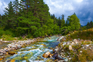 beautiful emerald mountain river rushing among green valley