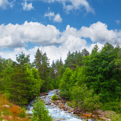 beautiful emerald mountain river rushing among green valley