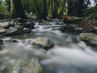 waterfall in the forest
