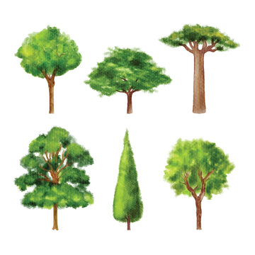 set of green tree watercolor vector illustration