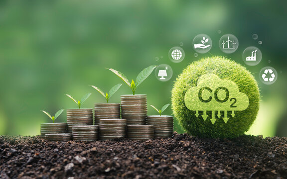 Sustainable development of carbon credits and green business from renewable energy. investment concept with seedlings growing on finance and carbon credits sustainable investment