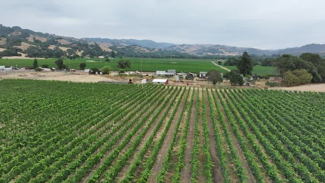 Aerial California vineyard grapes valley farms 1. Mendocino county, California. Grape, wine farm regions along Navarro River. Mountains, hills, valley and farming. Redwood and pine forests.
