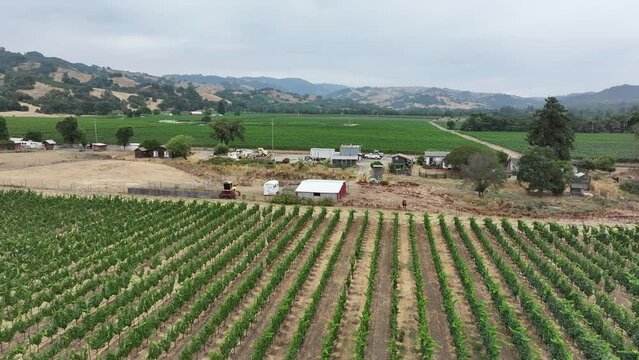 Aerial California vineyard grapes valley farms fast. Mendocino county, California. Grape, wine farm regions along Navarro River. Mountains, hills, valley and farming. Redwood and pine forests.
