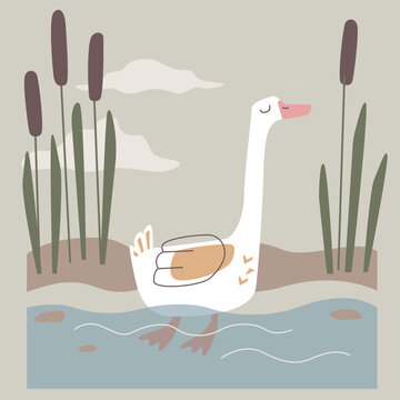 Vector art with abstract floating goose and water with reeds. Domestic funny bird swimming and relax.