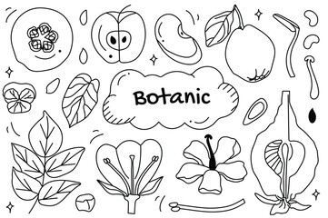 Line set Botanic in cartoon design. The world of botanic art with a black and white illustration set, showcasing delicate lines that highlight intricate floral details. Vector illustration.