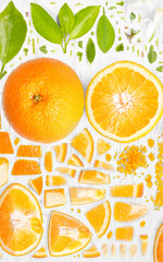 Orange Citrus Slice and Leaf Collection