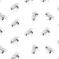 Vector pattern with graphic realistic bee on white background.  Great element for your design.