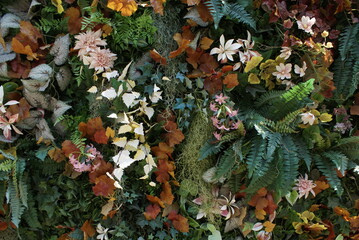 JARDIN DES PLANTES.PARIS 5.FRANCE