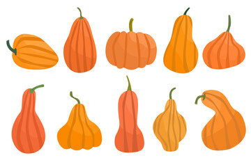 Set of pumpkins. Pumpkin of different shapes and colors. Thanksgiving design. Autumn pumpkin