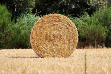 A bale of straw from cereal cultivation 