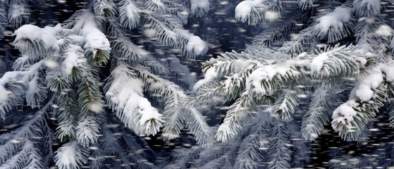 Winter panoramic background with snow-covered fir branches and snowfall flakes.