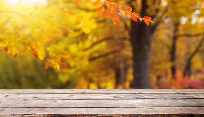 Naklejka na ściany i meble Beautiful colorful natural autumn background for presentation. Wooden boards on the background of a blurred autumn park