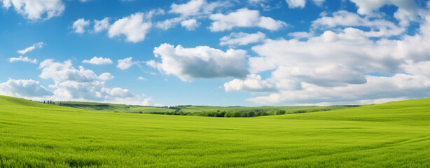 Fototapeta na wymiar Sunny day. Beautiful panorama of green field and blue sky with clouds, legal AI