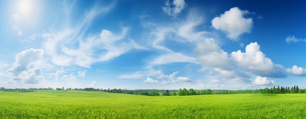 Fototapeta na wymiar Scenic panorama of green field and blue sky with clouds on the horizon, legal AI
