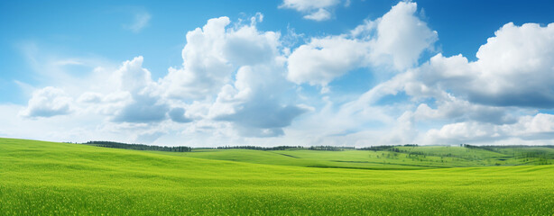 Fototapeta na wymiar field and blue sky with clouds, legal AI