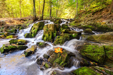 Naklejka na ściany i meble Wasserfall im Wald mit bunten Herbstlaub