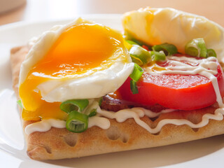 Bread with cutted boiled egg, sliced red tomatoes and fresh green onion.